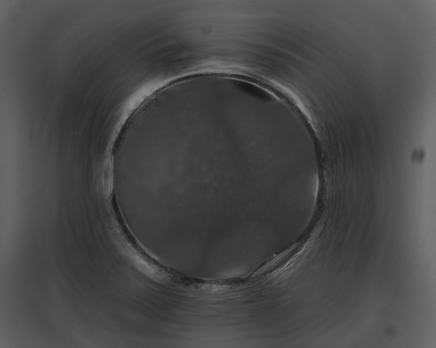 X0000095671371200801151054