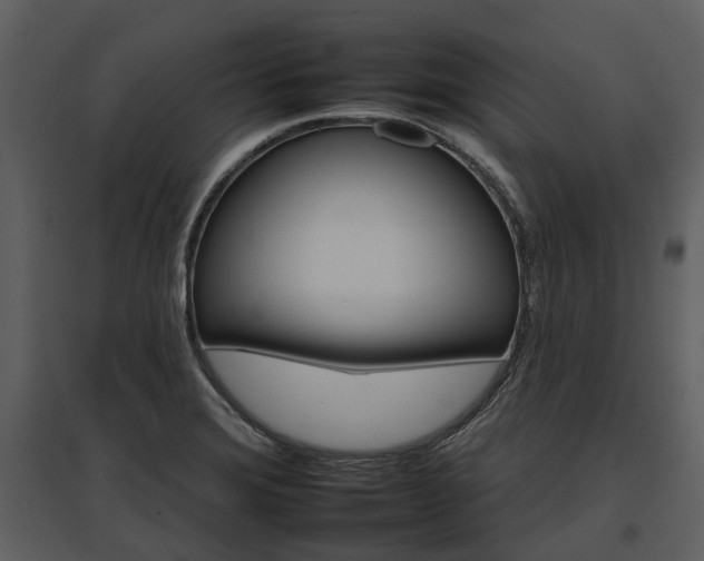 X0000095671372200801151054