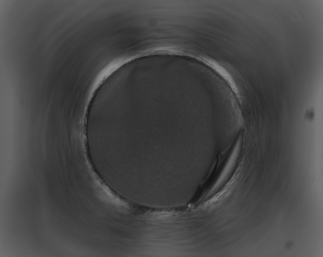 X0000095671373200801151054