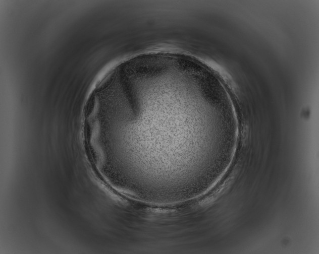 X0000095671374200801151054