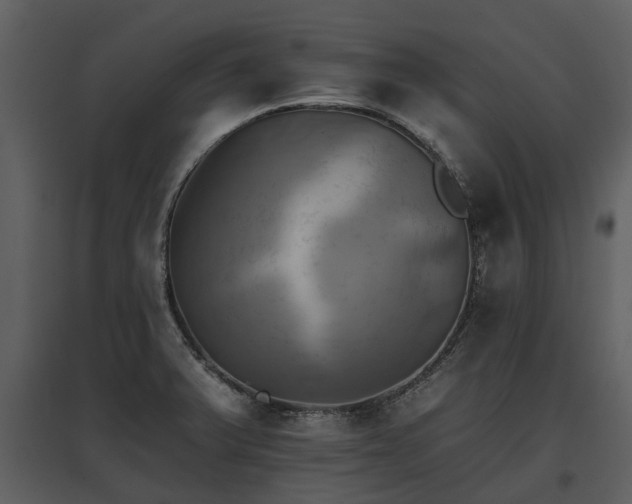 X0000095671375200801151054