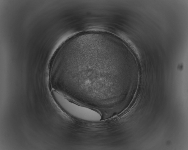 X0000095671376200801151054