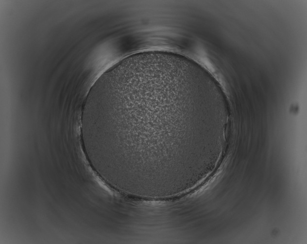 X0000095671377200801151054