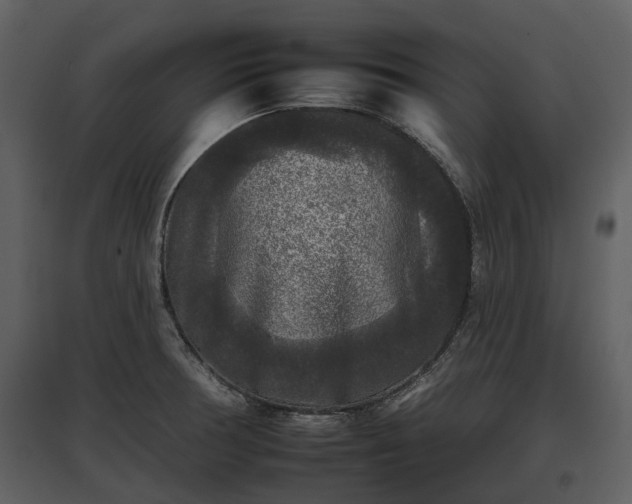 X0000095671378200801151054