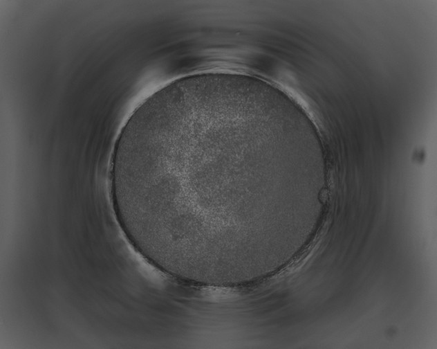 X0000095671379200801151054