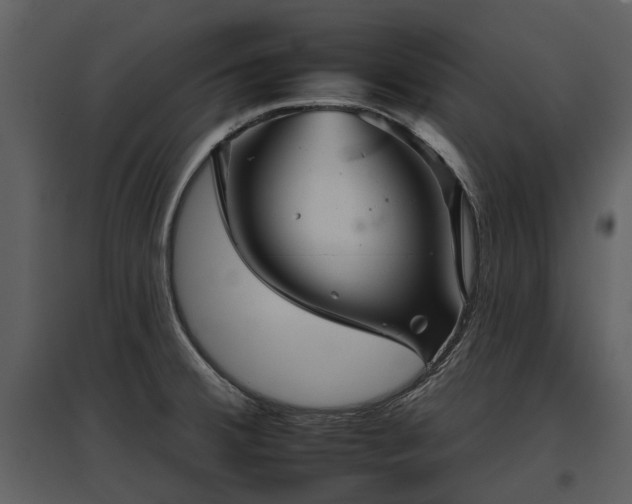 X0000095671380200801151054