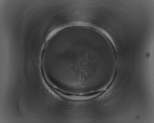 X0000095671381200801151054