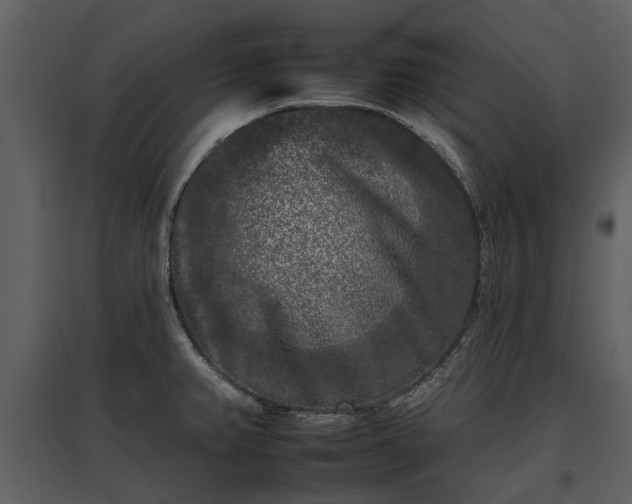 X0000095671382200801151054