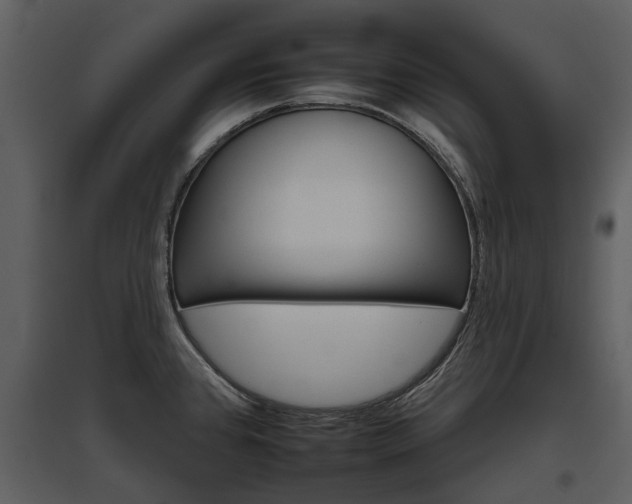 X0000095671384200801151054