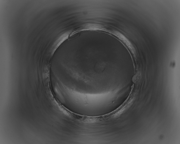 X0000095671385200801151054