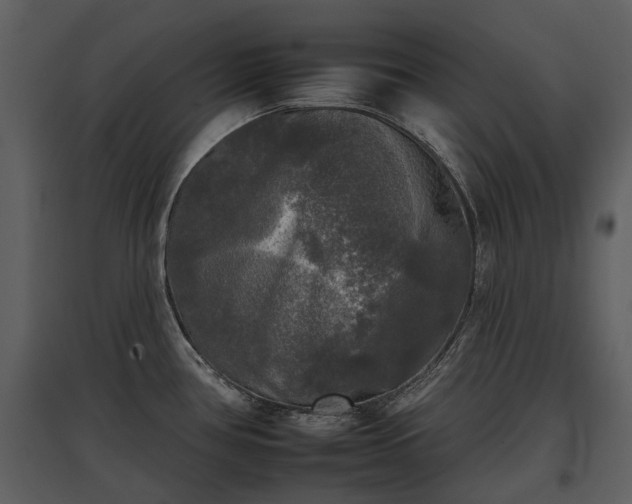 X0000095671386200801151054