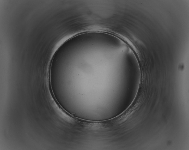 X0000095671387200801151054