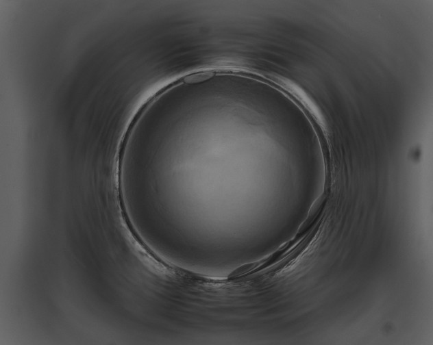 X0000095671388200801151054