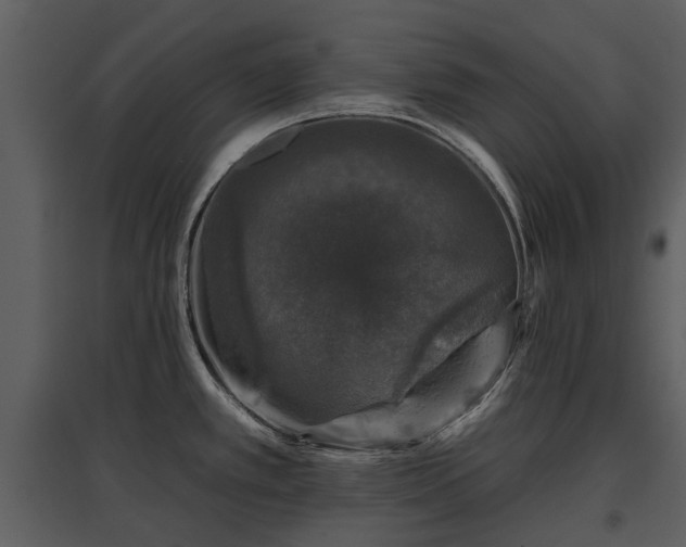 X0000095671389200801151054