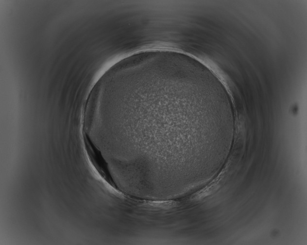 X0000095671390200801151054