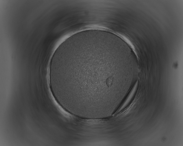 X0000095671391200801151054