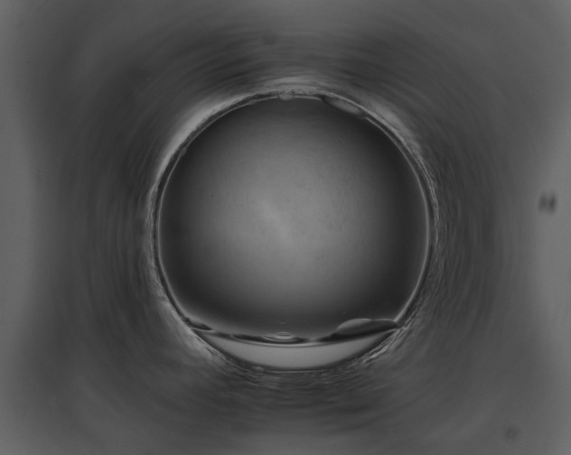 X0000095671392200801151054