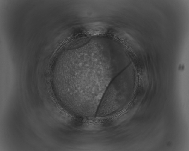 X0000095671393200801151053