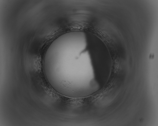 X0000095671394200801151053