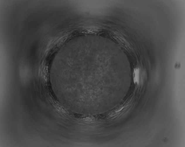 X0000095671395200801151053