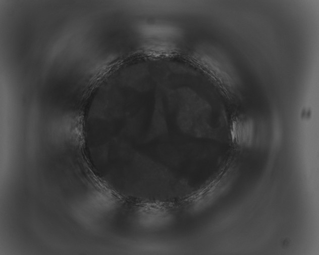 X0000095671396200801151053