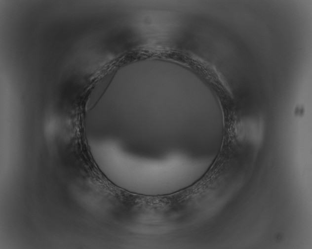 X0000095671397200801151053