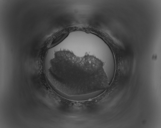 X0000095671398200801151053