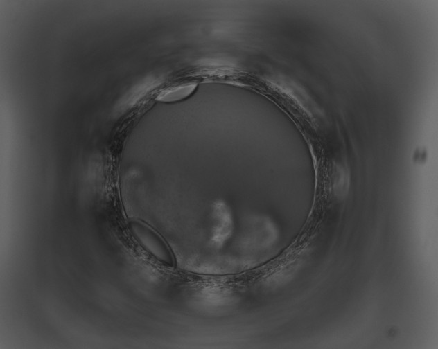 X0000095671399200801151053