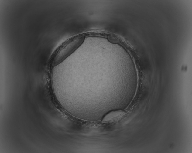 X0000095671400200801151053