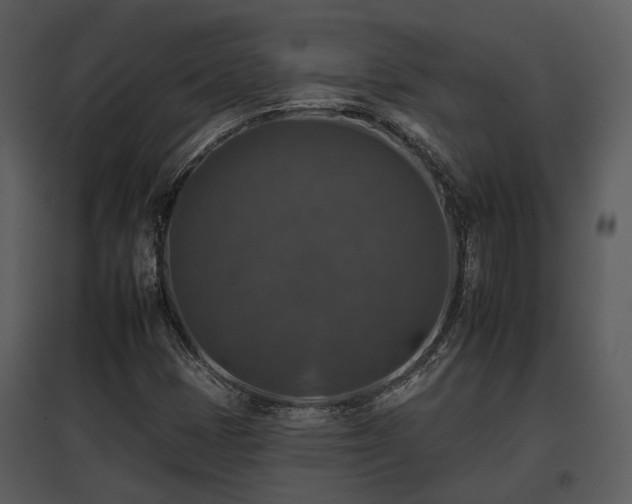 X0000095671401200801151053