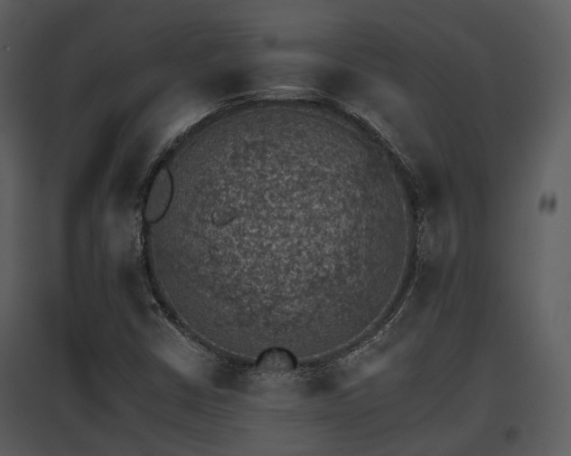 X0000095671402200801151053