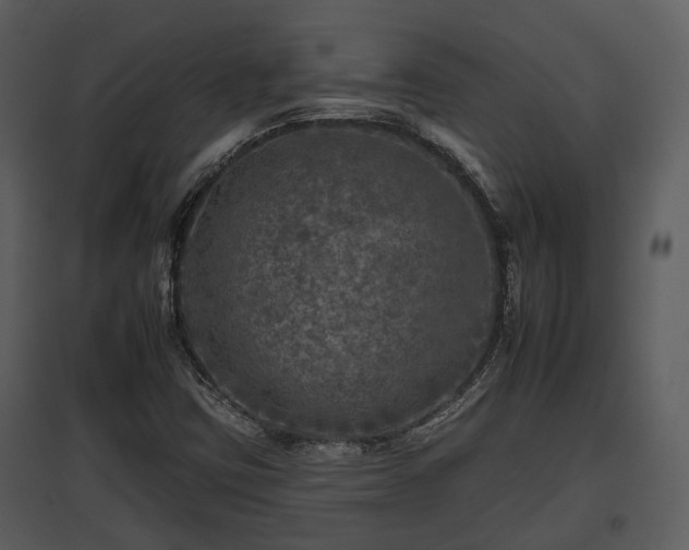 X0000095671403200801151053