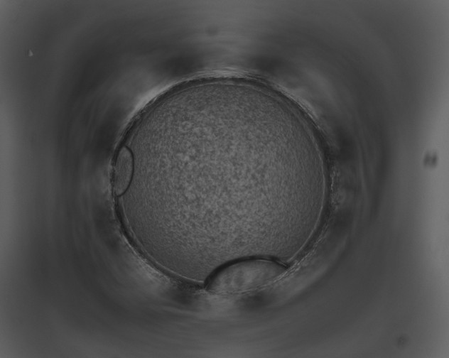 X0000095671404200801151053