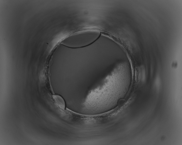 X0000095671405200801151053