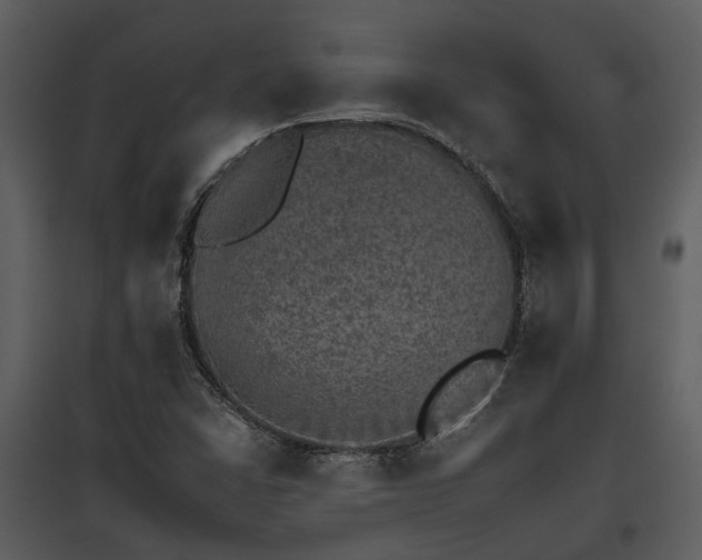 X0000095671406200801151054