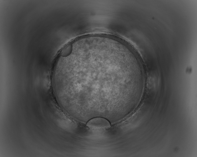 X0000095671407200801151054