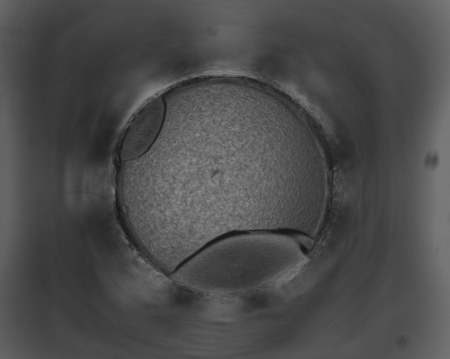 X0000095671408200801151054