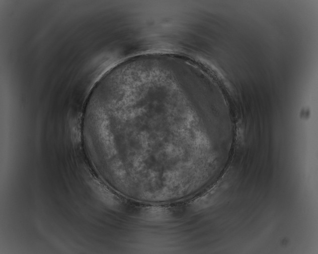 X0000095671409200801151054