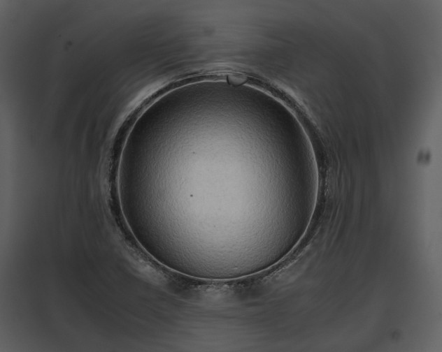 X0000095671410200801151054