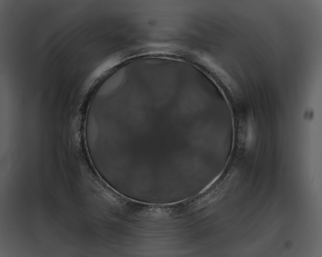 X0000095671411200801151054