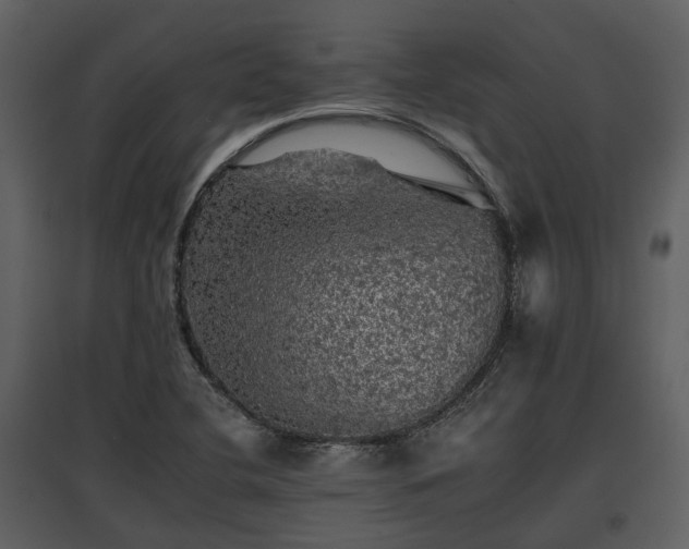 X0000095671412200801151054