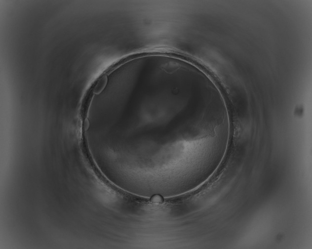 X0000095671414200801151054