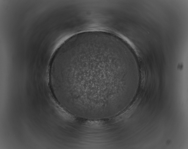 X0000095671415200801151054