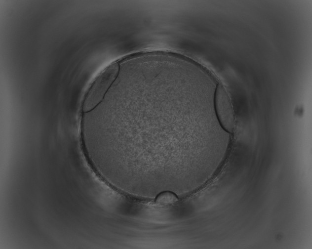 X0000095671416200801151054