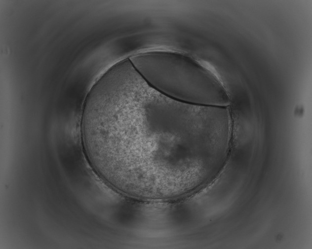 X0000095671417200801151054