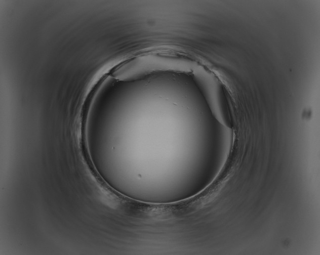 X0000095671418200801151054