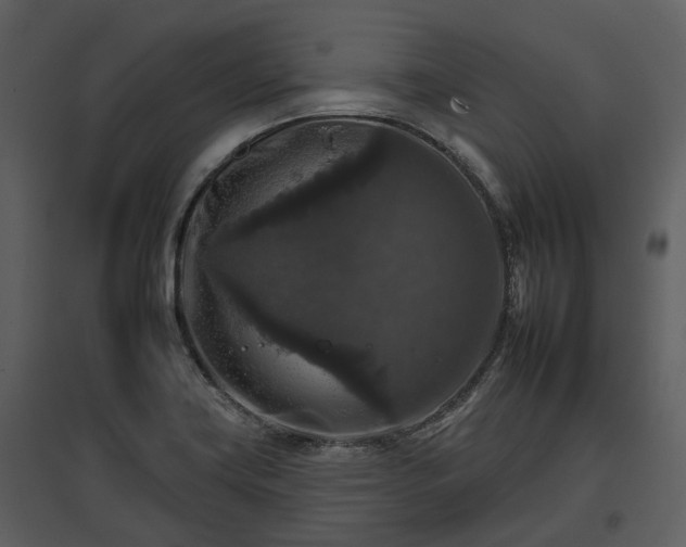 X0000095671419200801151054