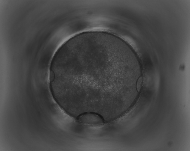 X0000095671420200801151054