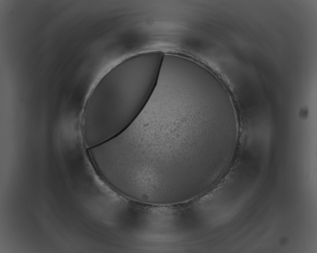 X0000095671421200801151054