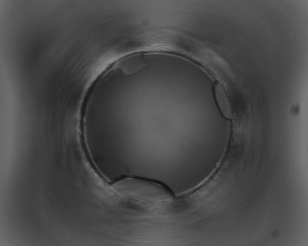 X0000095671422200801151054